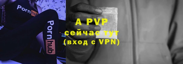 ешки Арсеньев