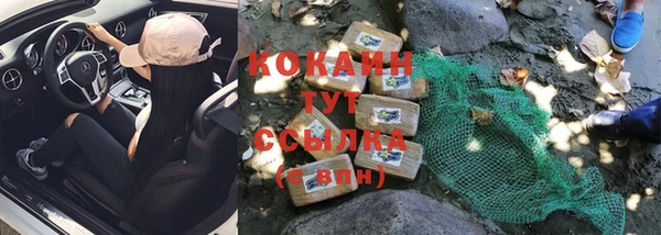 ешки Арсеньев