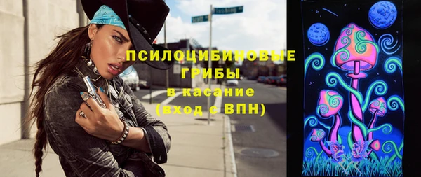 эйфоретик Аркадак